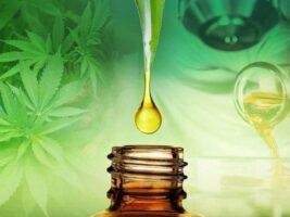 huiles de chanvre CBD CBG HHC