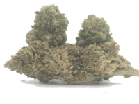 wedding cake cbd