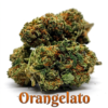 Orangelato CBD 14% CBD Indoor CBD