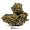 gelato cbd