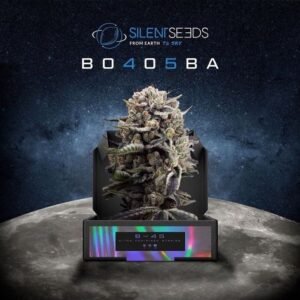 B-45 by Booba