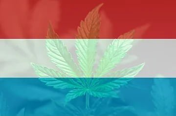 luxembourg cannabis auto culture