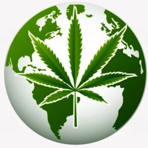 pays du monde cannabis légal