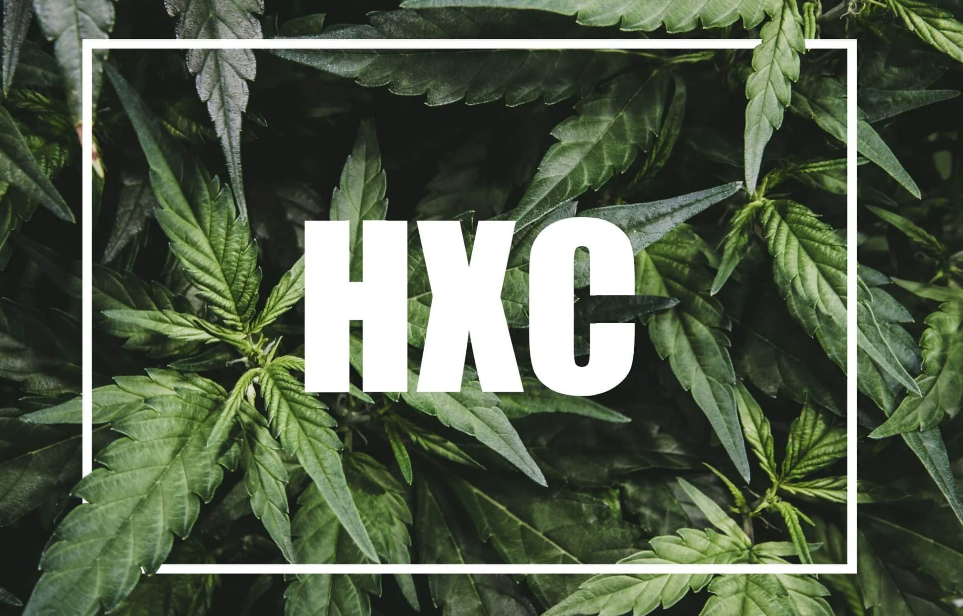 HXC = hhc