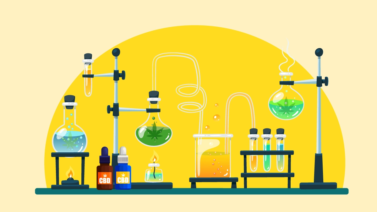 cbd huile extraction