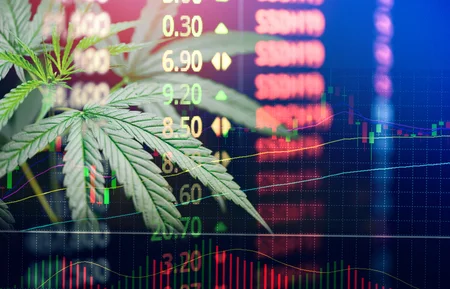 cbd bourse cannabis trading