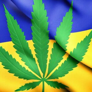 Ukraine cannabis médical