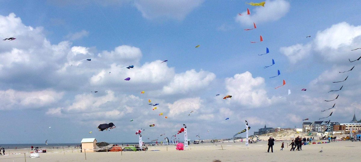 berck cbd livraison