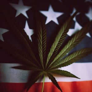 usa cannabis