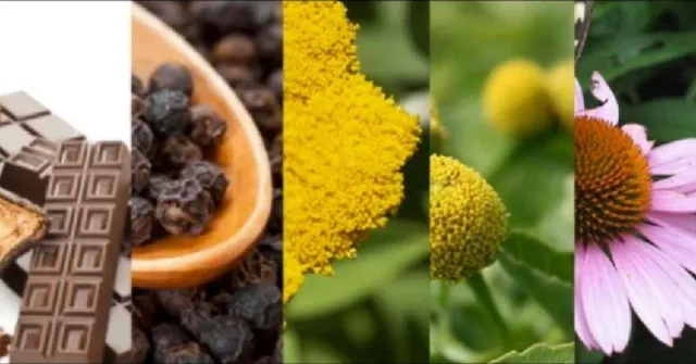 cannabimimetics cannabimimétiques