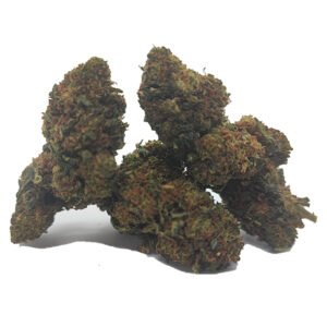 mango 10-oh-hhc