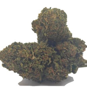 xtrem amnesia 10-oh-hhc