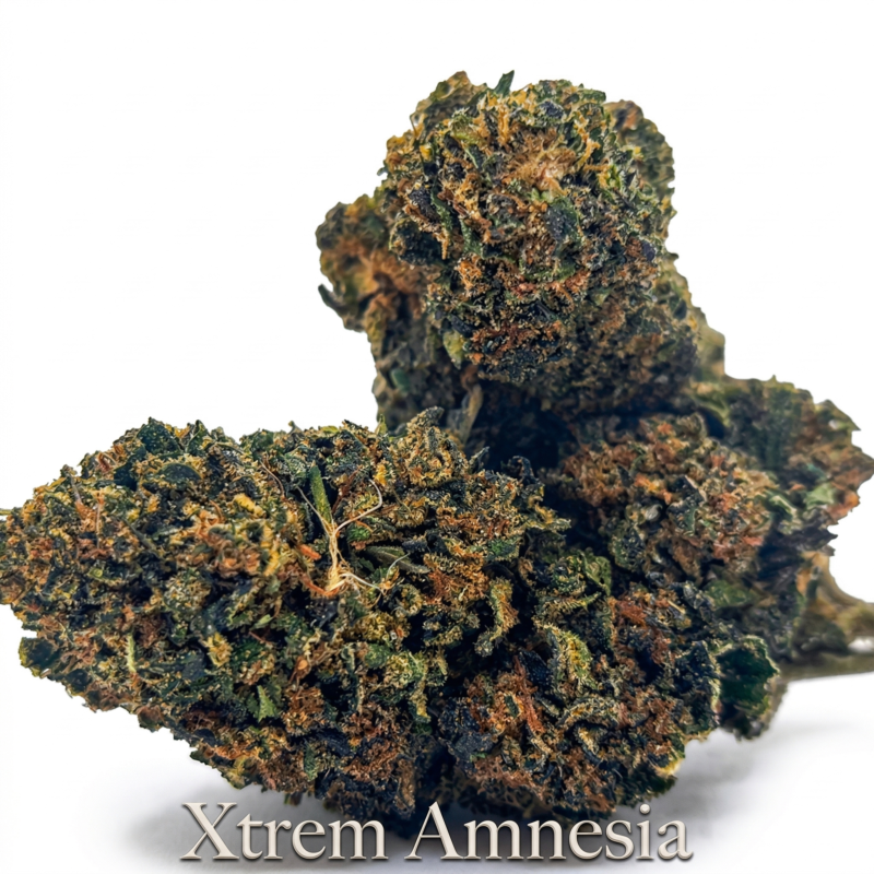 Xtrem Amnesia 50% 10-OH-HHC