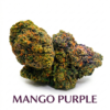 mango purple cbd