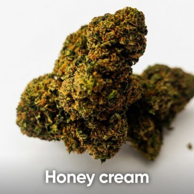 Honey Cream CBD 14% CBD Indoor CBD