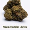 Xtrem Buddha Cheese 10-OH-HHC 35% 10-OH-HHC Indoor CBD
