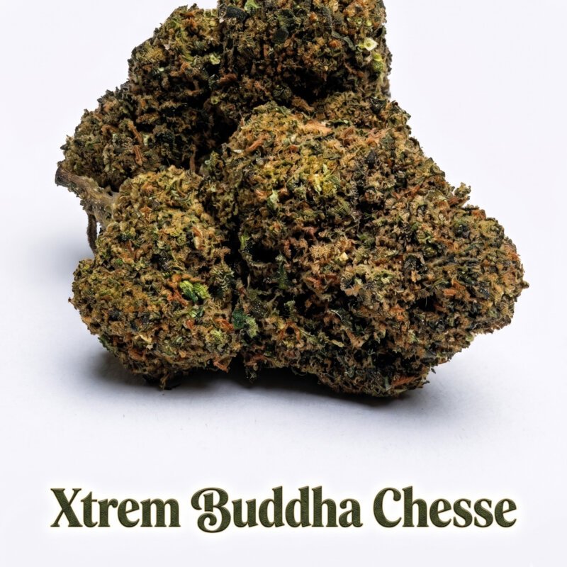 Xtrem Buddha Cheese 10-OH-HHC